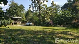 Land for sale in Pa Pae, Chiang Mai