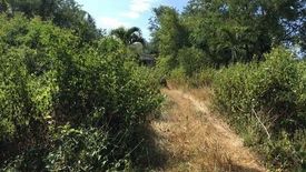 Land for sale in Tha Li, Loei