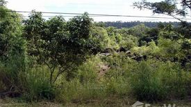 Land for sale in Khlong Yai, Trat