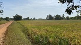 ขายที่ดิน ใน สะพานหิน, หนองมะโมง