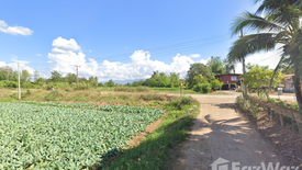 Land for sale in Nong Khwai, Phetchabun