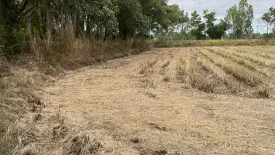 Land for sale in Khok Ma, Buriram