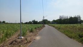 Land for sale in Phang Tru, Kanchanaburi