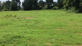 Land for sale in Na Si Nuan, Maha Sarakham