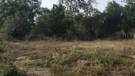 Land for sale in Cho Ho, Nakhon Ratchasima