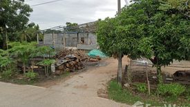 Land for sale in Ban Ko, Uttaradit