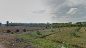 Land for sale in Sai Khao, Nakhon Si Thammarat