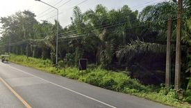 Land for sale in Bo Saen, Phang Nga