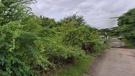 Land for sale in Sikhio, Nakhon Ratchasima