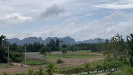 ขายที่ดิน ใน กระบี่น้อย, เมืองกระบี่