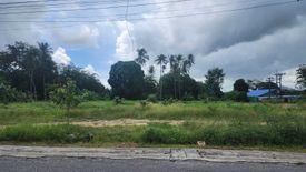 Land for sale in Chalong, Phuket