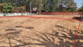 Land for sale in Nong Chom, Chiang Mai