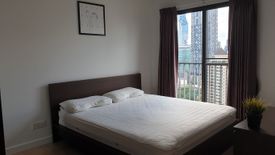 1 Bedroom Condo for rent in The Seed Mingle, Thung Maha Mek, Bangkok near MRT Lumpini