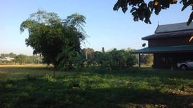 Land for sale in Huai Sai, Chiang Mai