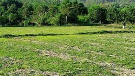 Land for sale in Ban Luang, Chiang Mai