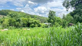 Land for sale in Thung Pi, Chiang Mai