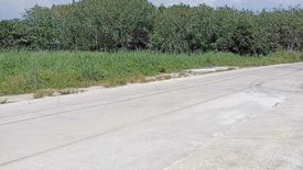 Land for sale in Choeng Thale, Phuket