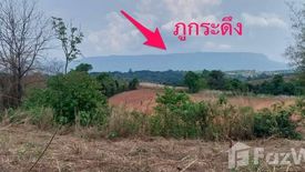 Land for sale in Nam Nao, Phetchabun