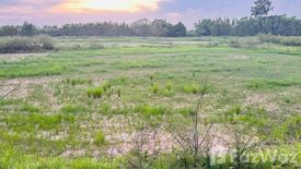 Land for sale in Chi Thuan, Ubon Ratchathani