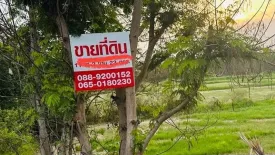 Land for sale in Chi Thuan, Ubon Ratchathani