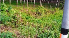 Land for sale in Khok Ngam, Loei