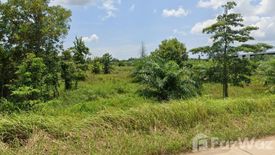 Land for sale in Krabi Noi, Krabi