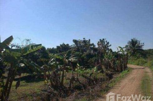 Land for sale in Ban Klang, Chiang Mai