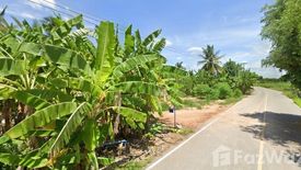 Land for sale in Khao Yai, Phetchaburi