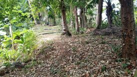 Land for sale in Choeng Thale, Phuket