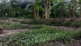 Land for sale in Lipa Noi, Surat Thani