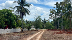 Land for sale in Khanom, Nakhon Si Thammarat