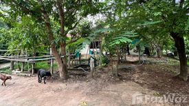 Land for sale in Nikhom Sang Ton-eng Lam Dom Noi, Ubon Ratchathani