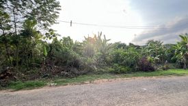 Land for sale in Thep Krasatti, Phuket