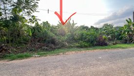 Land for sale in Thep Krasatti, Phuket