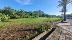 Land for sale in Si Sunthon, Phuket