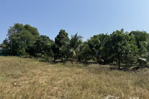 Land for sale in Rawai, Phuket