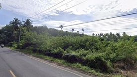 Land for sale in Talat, Surat Thani