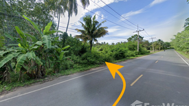 Land for sale in Talat, Surat Thani