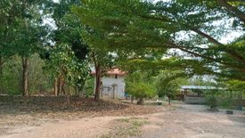 Land for sale in Wo Kaeo, Lampang