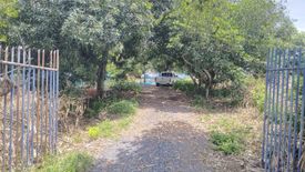 Land for sale in Phan Thong, Chonburi