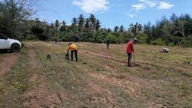 Land for sale in Bang Muang, Phang Nga