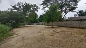 Land for sale in Chang Phueak, Chiang Mai