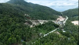 Land for sale in Ko Pha-ngan, Surat Thani