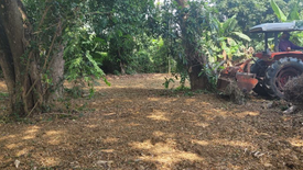 Land for sale in Nong Faek, Chiang Mai