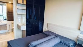 1 Bedroom Condo for rent in Sign Condo Sukhumvit 50, Phra Khanong, Bangkok near BTS On Nut