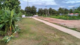 Land for sale in Mueang Phan, Chiang Rai