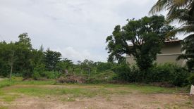 Land for sale in Bang Muang, Phang Nga