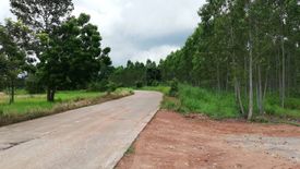 Land for sale in Nong Ki, Prachin Buri