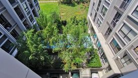 1 Bedroom Condo for sale in Dolce Lasalle, Bang Na, Bangkok near BTS Bang Na