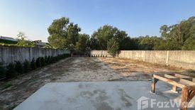 Land for sale in Nong Prue, Chonburi